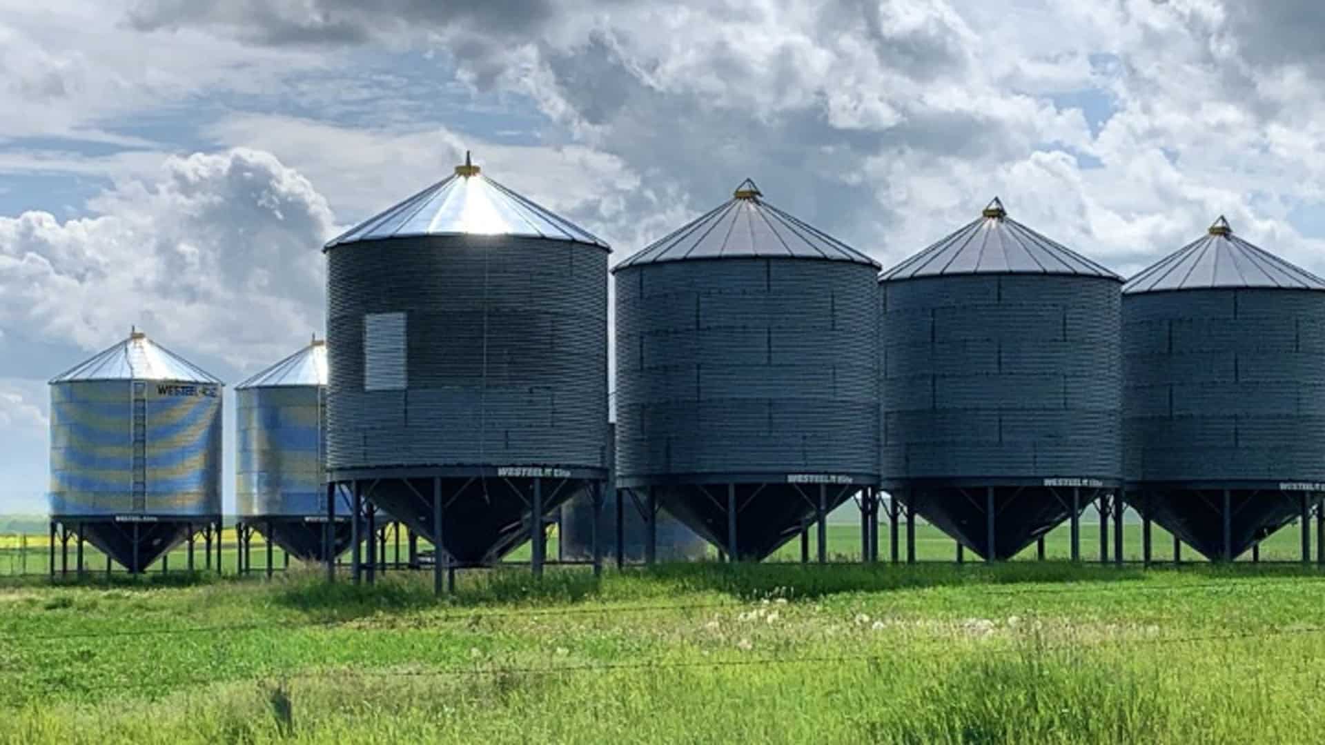 An image of silos in a field to visually demonstrate how SEO silo structure organizes contents, much like grain silos organize different grains..